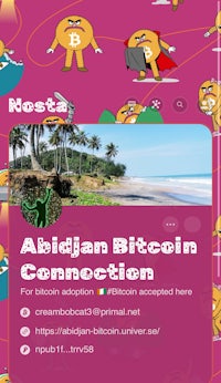 adrian bitcoin connection screenshot